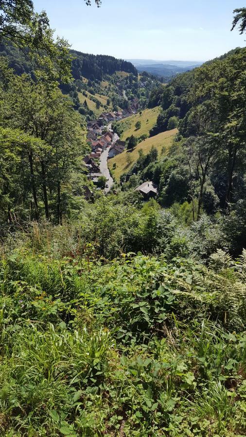 Fewo Bergblick Osterode am Harz Dış mekan fotoğraf